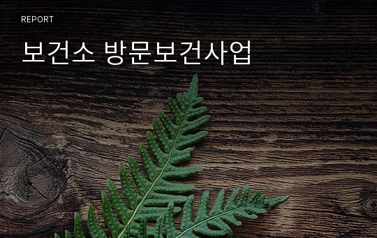 보건소 방문보건사업