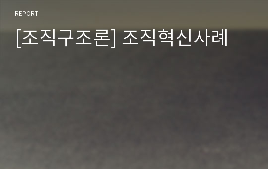 [조직구조론] 조직혁신사례