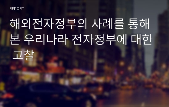 해외전자정부의 사례를 통해 본 우리나라 전자정부에 대한 고찰