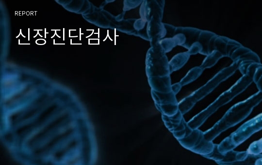 신장진단검사