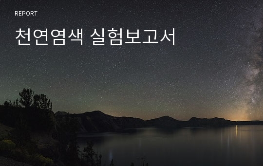 천연염색 실험보고서