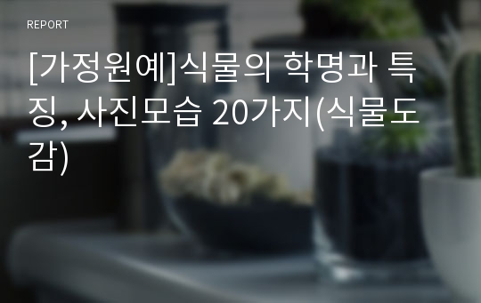 [가정원예]식물의 학명과 특징, 사진모습 20가지(식물도감)