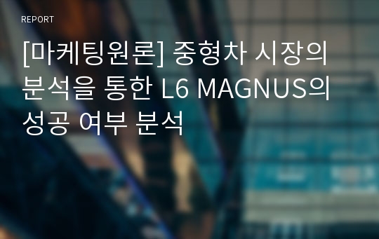 [마케팅원론] 중형차 시장의 분석을 통한 L6 MAGNUS의 성공 여부 분석