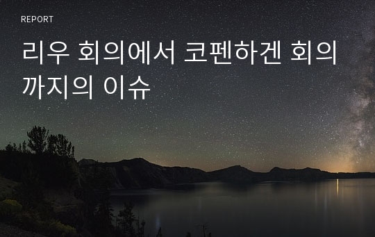 리우 회의에서 코펜하겐 회의까지의 이슈