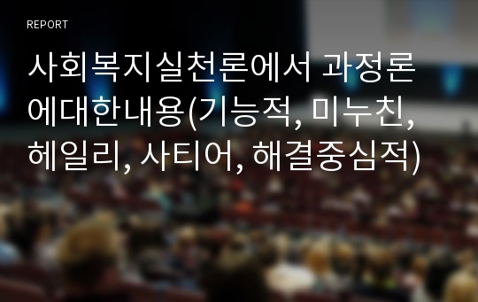 사회복지실천론에서 과정론에대한내용(기능적, 미누친, 헤일리, 사티어, 해결중심적)