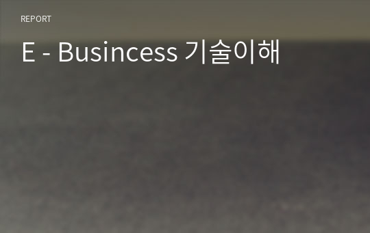 E - Busincess 기술이해