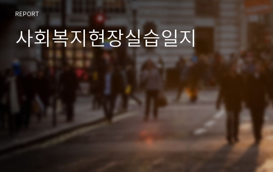 사회복지현장실습일지