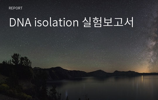 DNA isolation 실험보고서