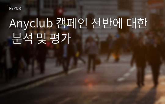 Anyclub 캠페인 전반에 대한 분석 및 평가