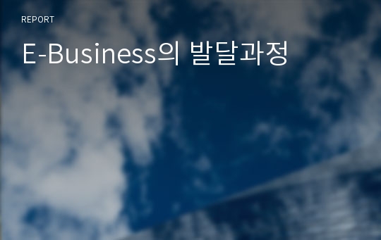 E-Business의 발달과정