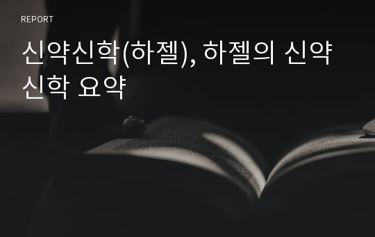 신약신학(하젤), 하젤의 신약신학 요약