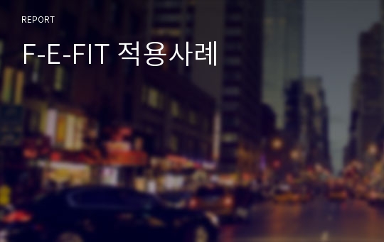 F-E-FIT 적용사례