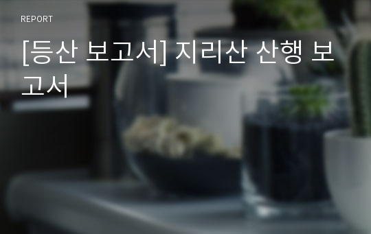 [등산 보고서] 지리산 산행 보고서