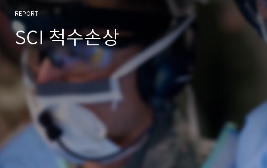 SCI 척수손상