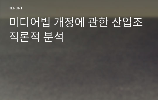 미디어법 개정에 관한 산업조직론적 분석