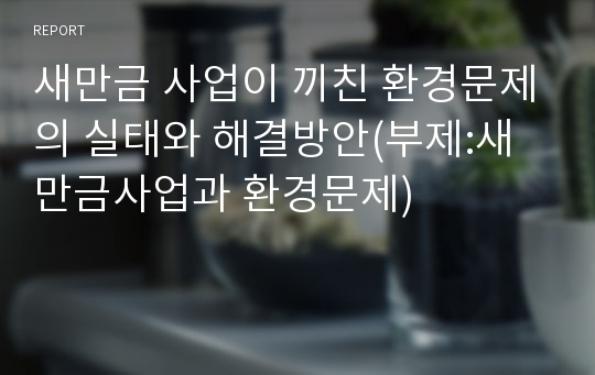 새만금 사업이 끼친 환경문제의 실태와 해결방안(부제:새만금사업과 환경문제)