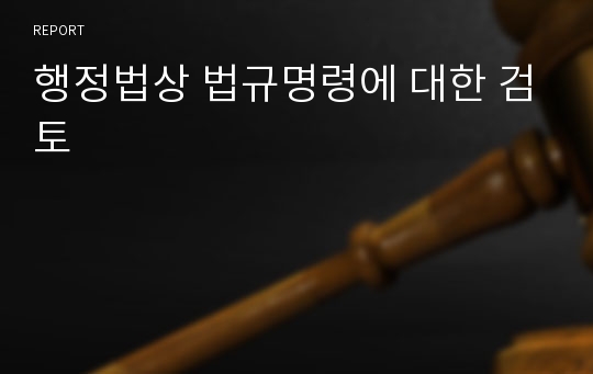 행정법상 법규명령에 대한 검토