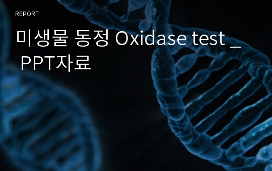 미생물 동정 Oxidase test _ PPT자료