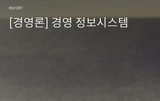 [경영론] 경영 정보시스템