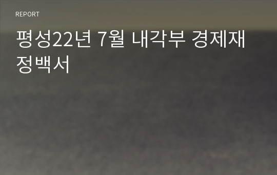 평성22년 7월 내각부 경제재정백서