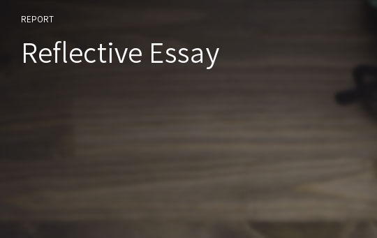 Reflective Essay