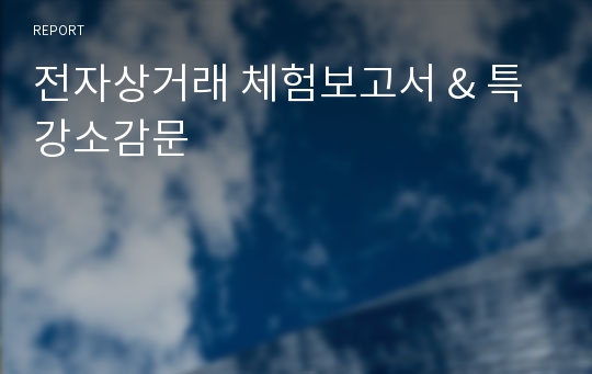 전자상거래 체험보고서 &amp; 특강소감문