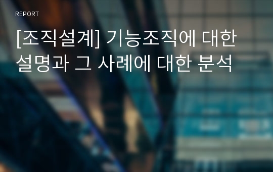 [조직설계] 기능조직에 대한 설명과 그 사례에 대한 분석