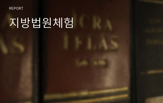 지방법원체험