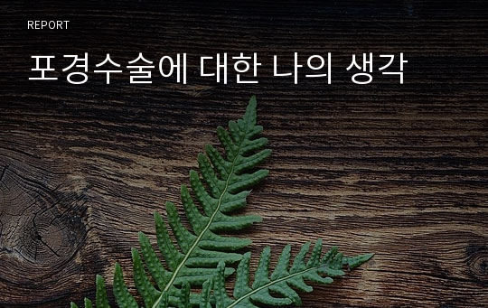 포경수술에 대한 나의 생각