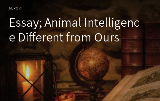 Essay; Animal Intelligence Different from Ours