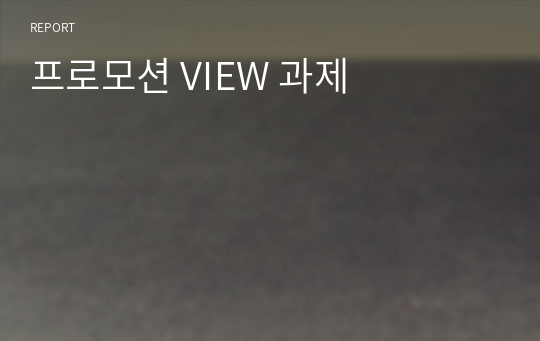 프로모션 VIEW 과제