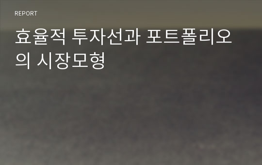 효율적 투자선과 포트폴리오의 시장모형