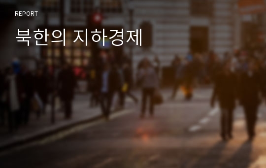 북한의 지하경제