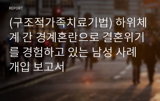 (구조적가족치료기법) 하위체계 간 경계혼란으로 결혼위기를 경험하고 있는 남성 사례개입 보고서