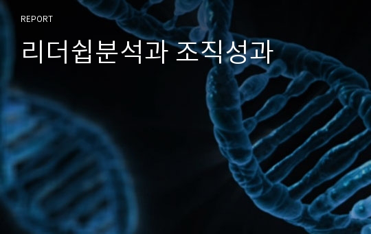 리더쉽분석과 조직성과