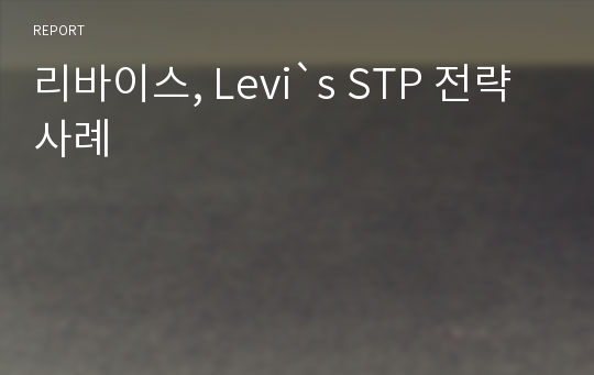 리바이스, Levi`s STP 전략사례