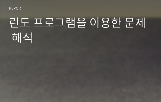 린도 프로그램을 이용한 문제 해석