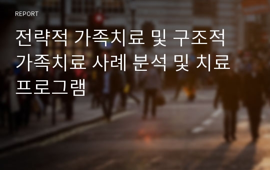 전략적 가족치료 및 구조적 가족치료 사례 분석 및 치료 프로그램