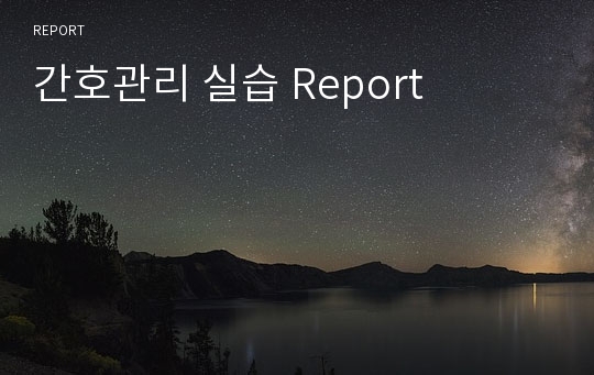 간호관리 실습 Report