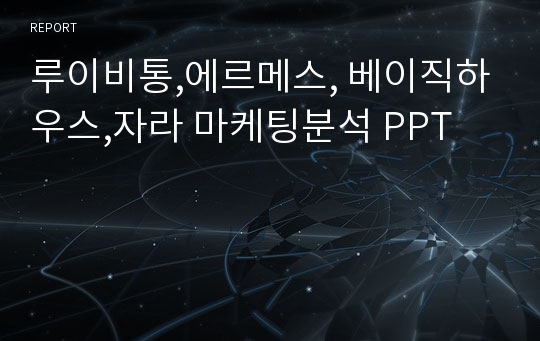 루이비통,에르메스, 베이직하우스,자라 마케팅분석 PPT