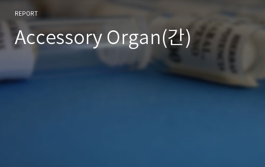 Accessory Organ(간)