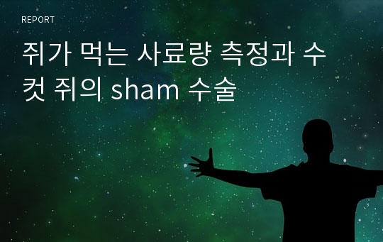 쥐가 먹는 사료량 측정과 수컷 쥐의 sham 수술