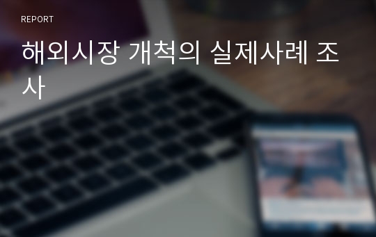 해외시장 개척의 실제사례 조사