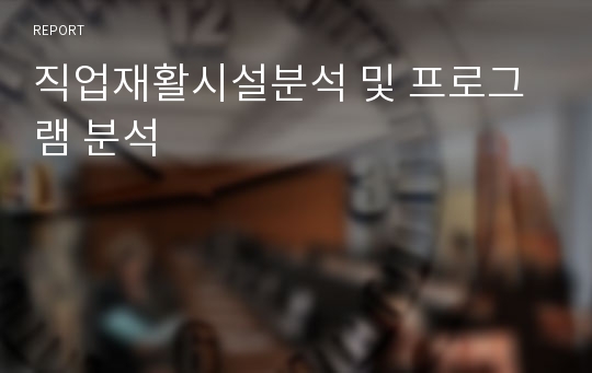 직업재활시설분석 및 프로그램 분석