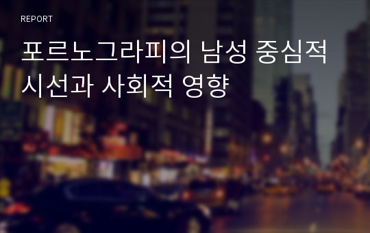 포르노그라피의 남성 중심적 시선과 사회적 영향