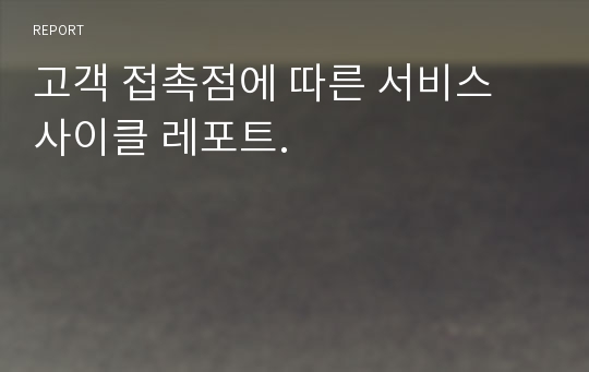 고객 접촉점에 따른 서비스 사이클 레포트.