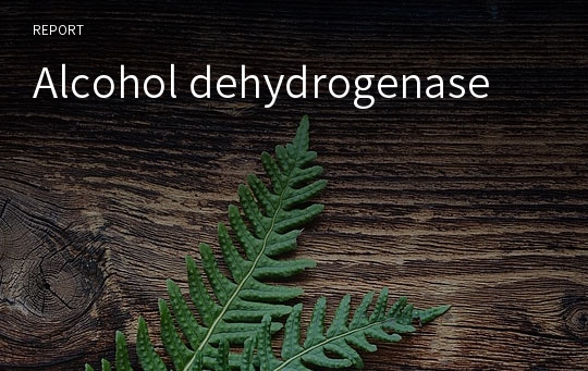 Alcohol dehydrogenase