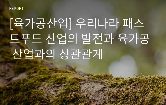 [육가공산업] 우리나라 패스트푸드 산업의 발전과 육가공 산업과의 상관관계