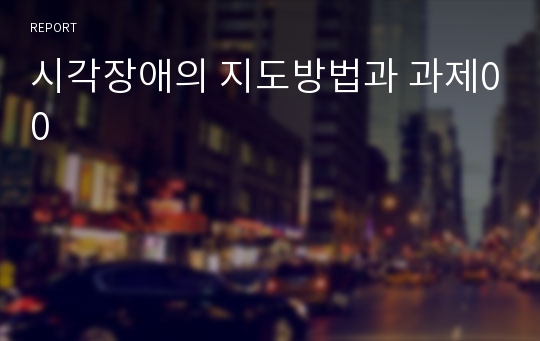 시각장애의 지도방법과 과제00