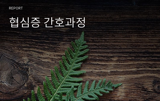 협심증 간호과정